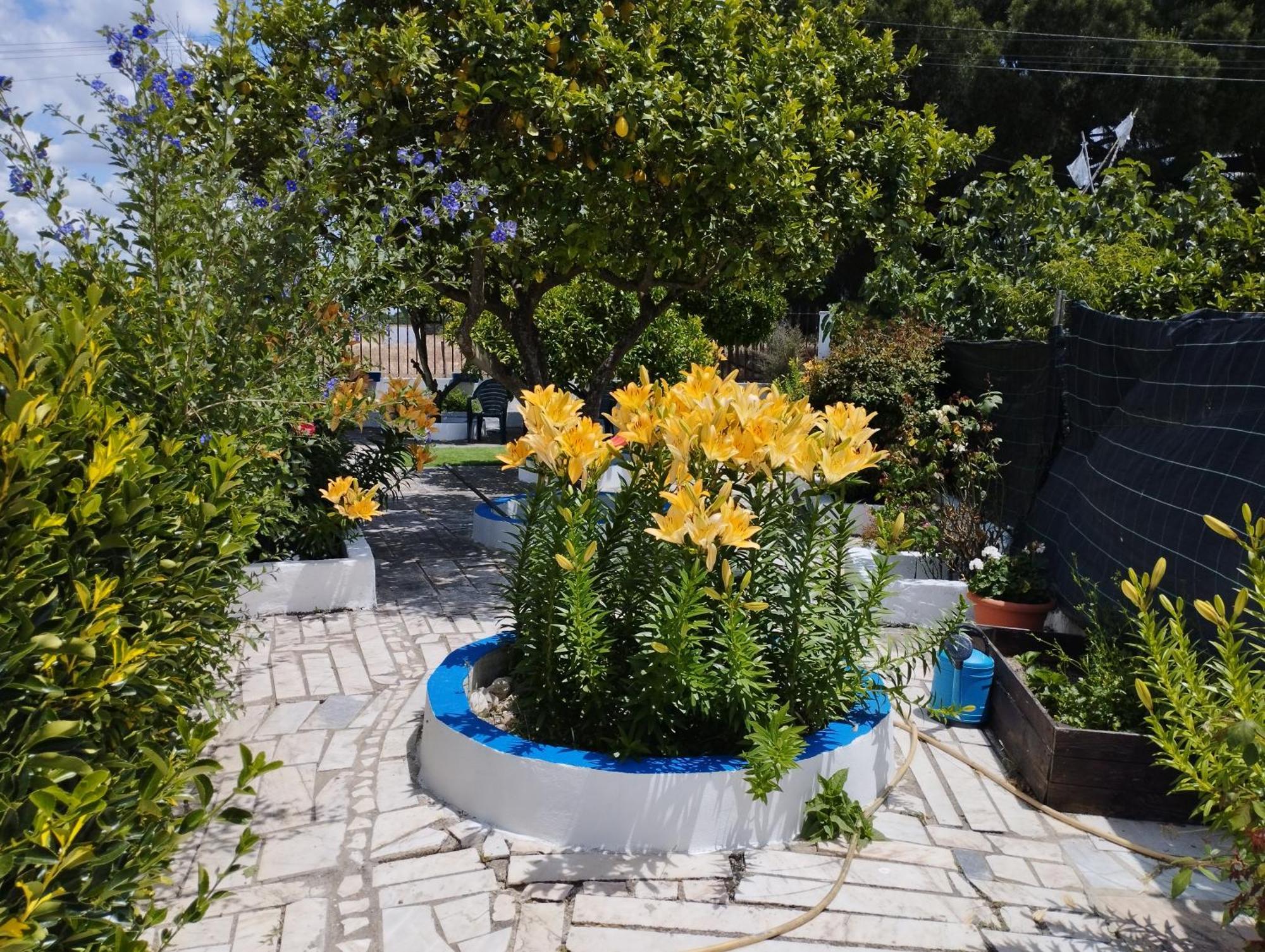 Monte Sol Nascente Villa Grândola Exteriör bild