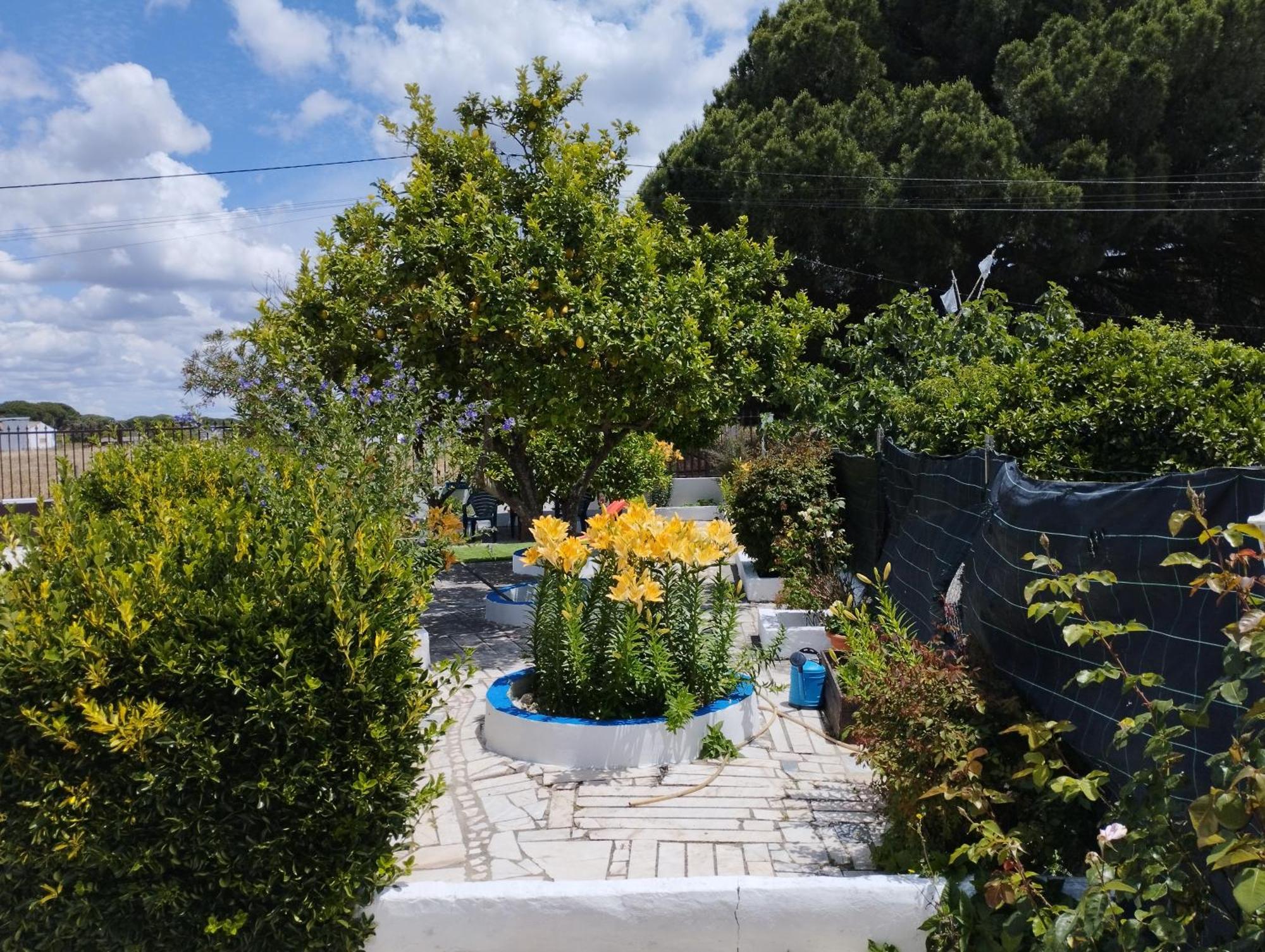 Monte Sol Nascente Villa Grândola Exteriör bild